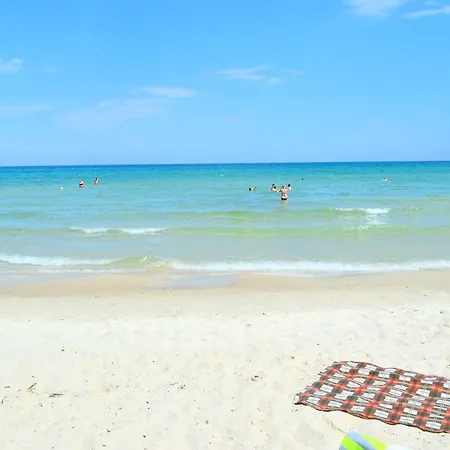 Mary's Chrisi Ammoudia